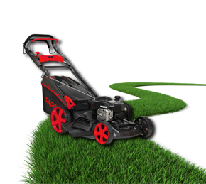 Снимка за категория Градина